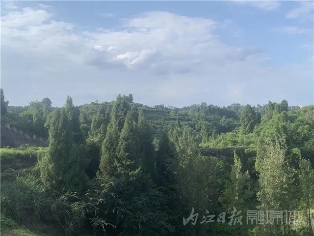 湖光山色兩相和，內(nèi)江這處“寶藏”湖泊太適合夏天出游！(圖8)