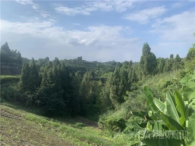湖光山色兩相和，內(nèi)江這處“寶藏”湖泊太適合夏天出游！(圖9)