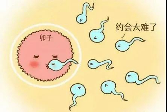 【關(guān)注】瀘州夫妻婚后三年未孕！檢查前一天，出啥事了？(圖6)