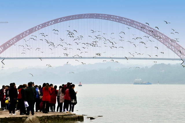 瀘州水務(wù)系統(tǒng)“慶祝建黨100周年，共護(hù)綠水青山”攝影作品征集活動入圍作品公布啦！(圖7)