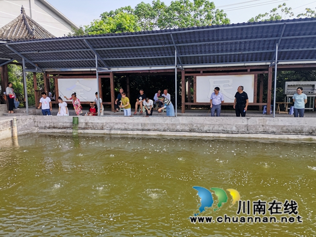 瀘縣方洞鎮(zhèn)：大頭蝦初長成，放釣上市生意好(圖7)