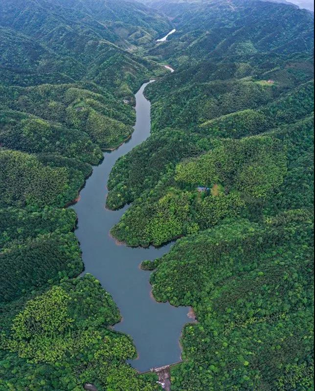 敘永：隱秘在一片綠意之中的四坪村，美到不動(dòng)聲色！(圖4)