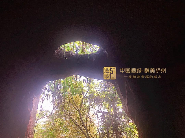 合江堯壩這個(gè)懸崖上的“三室一廳”絕了！還帶全景天窗……(圖3)