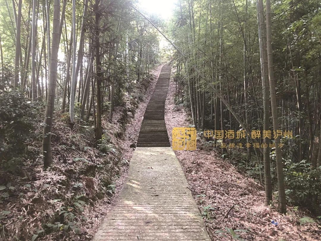 合江堯壩這個(gè)懸崖上的“三室一廳”絕了！還帶全景天窗……(圖5)
