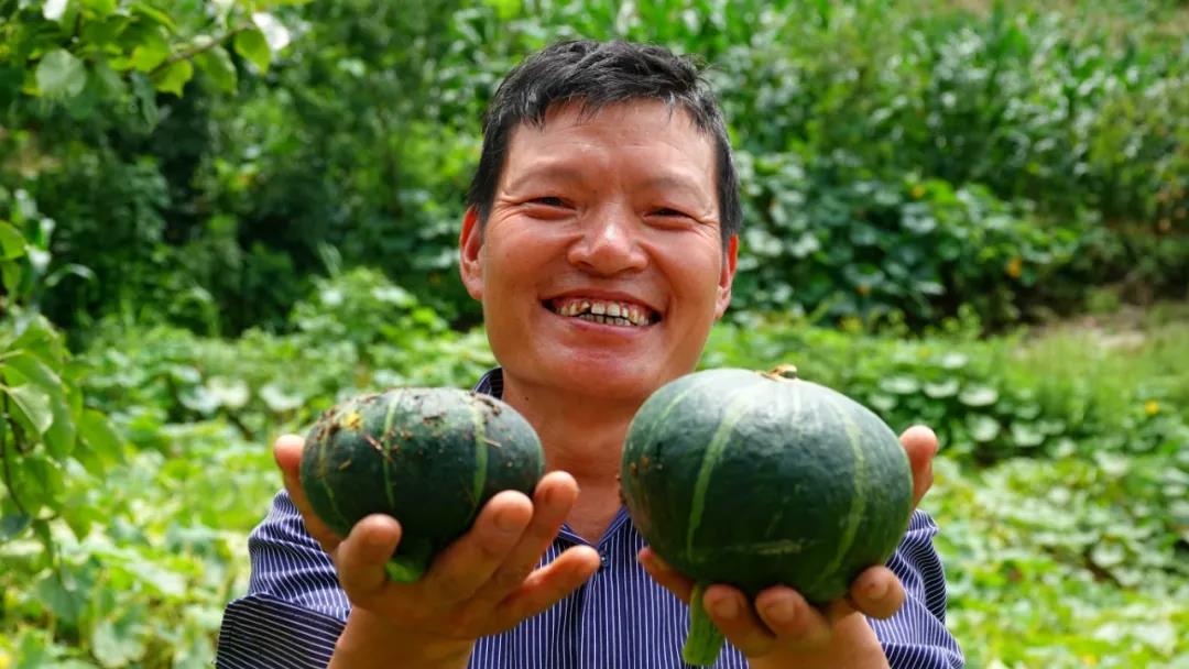 網(wǎng)紅南瓜收益高，古藺瓜農(nóng)笑開顏！(圖11)