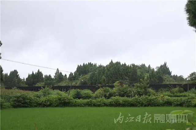 內(nèi)江又一地方入選省級重點旅游村！來看看是哪里(圖16)