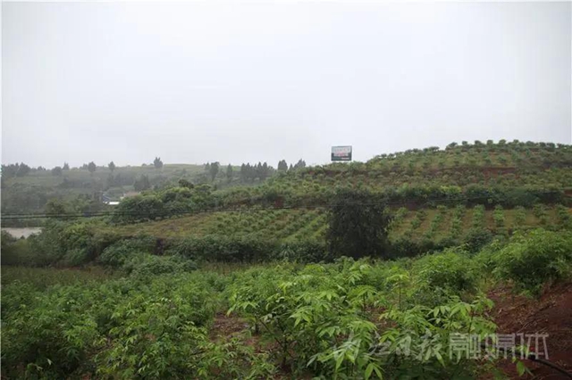 內(nèi)江又一地方入選省級重點旅游村！來看看是哪里(圖5)