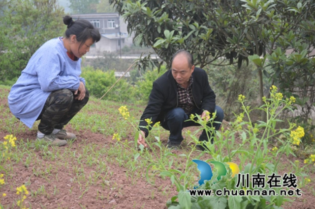 龍馬潭區(qū)胡市鎮(zhèn)“特聘村主任”劉守平：鄉(xiāng)村振興領頭羊，基層治理顯擔當