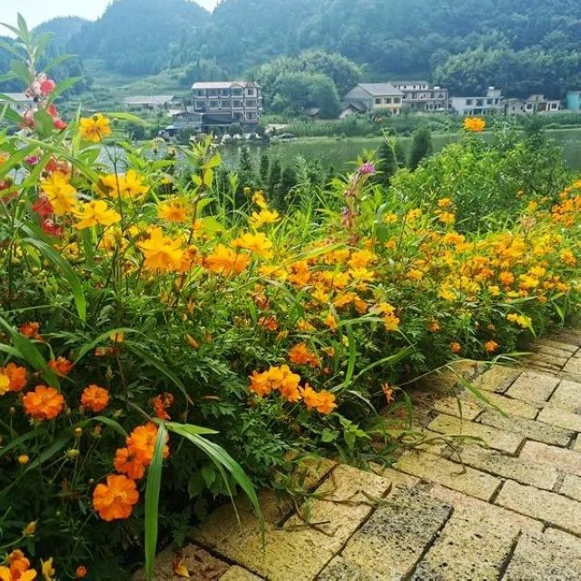 避暑納涼去哪里？敘永這些“避暑勝地”給你一個(gè)清涼之夏！(圖6)