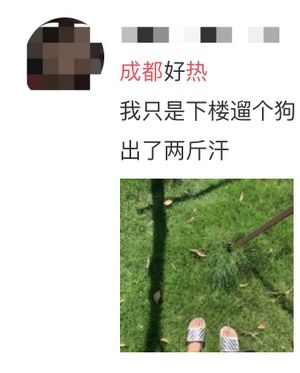 最高溫39℃！今年夏天四川為啥這么熱？還要熱多久？