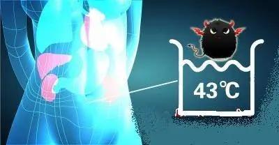 【關(guān)注】43℃高溫下，被燙死了……(圖6)