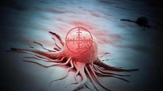 【關(guān)注】43℃高溫下，被燙死了……(圖7)