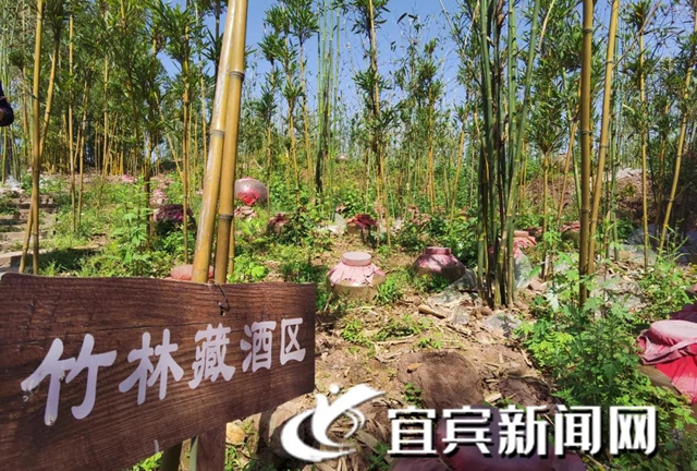 全國(guó)鄉(xiāng)村旅游重點(diǎn)村鎮(zhèn)名單公示！宜賓這個(gè)村上榜(圖3)