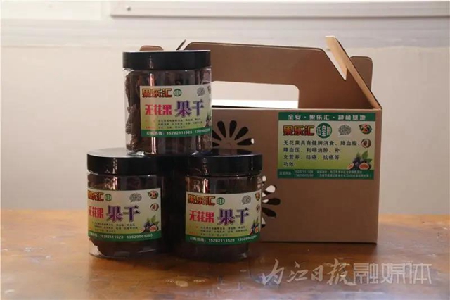 都熟啦！內(nèi)江這里，有一大片無(wú)花果林(圖2)
