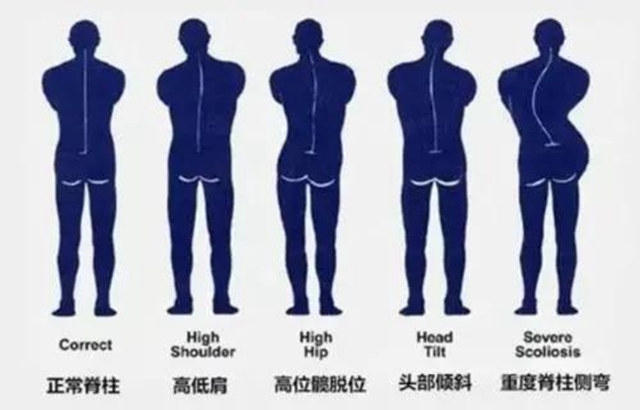 【擴(kuò)散】瀘州12歲男孩為何突然長(zhǎng)高3公分？(圖11)