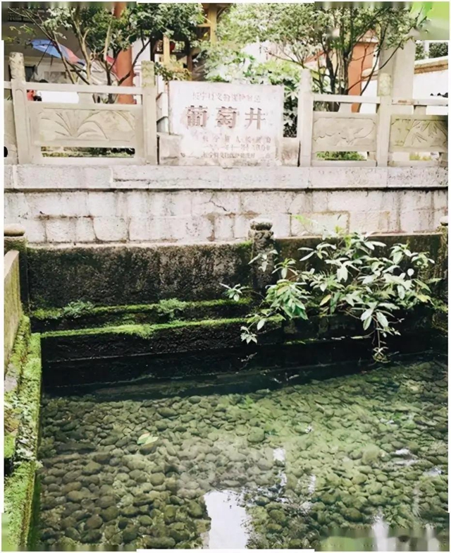 有你愛吃的嗎？100道最具代表性的川菜，宜賓這些美食上榜！(圖16)