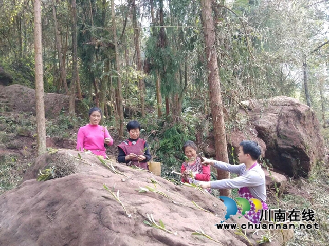 合江縣先灘鎮(zhèn)梨樹塆村鄉(xiāng)賢人士李相金：一個讓山區(qū)石頭長出“金條”的“領頭雁”(圖3)