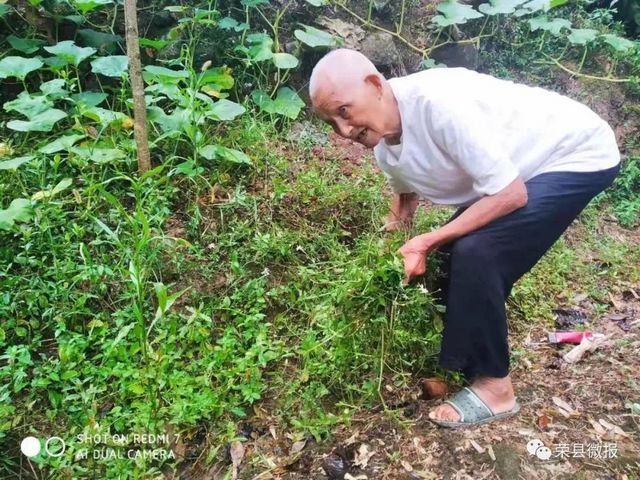贊！榮縣105歲老人主動接種新冠疫苗！你還等什么？(圖2)