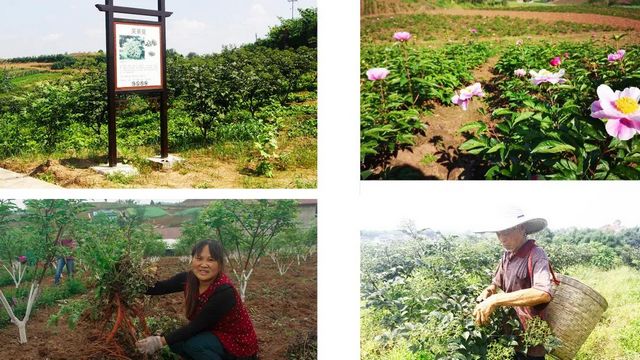 內(nèi)江梓橦宮：從僅剩一位看門(mén)大爺?shù)綊炫菩氯寰x層！(圖5)