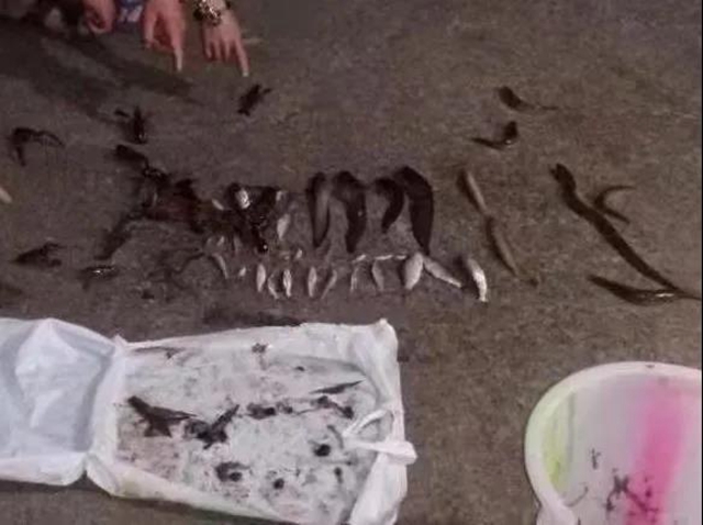 這頓宵夜投得“貴” 敘永四名男子將面臨牢獄之災(zāi)