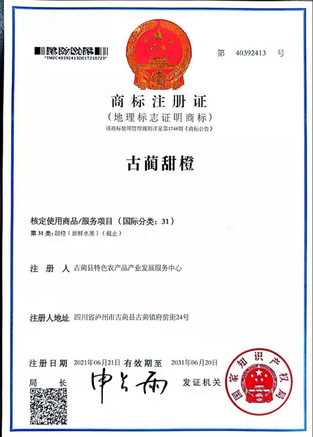 古藺獼猴桃和古藺甜橙成功獲準(zhǔn)國(guó)家級(jí)地理標(biāo)志證明商標(biāo)(圖2)