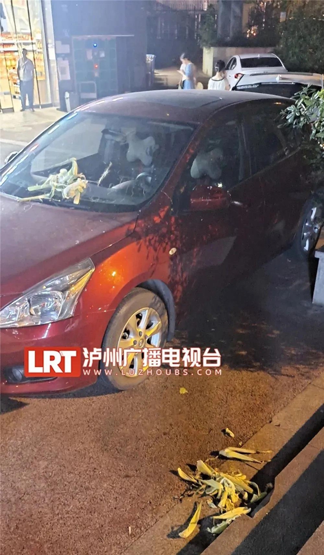 因場地被擋，瀘州這群廣場舞大媽竟對車輛下手了！