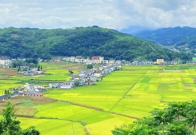 湖光山色、荷韻悠悠……瀘州這些如畫美景，看一眼就心動！(圖9)