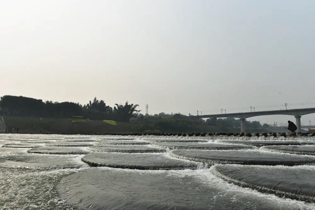 超10萬㎡！宜賓這個地方新建了一個濱江公園(圖1)
