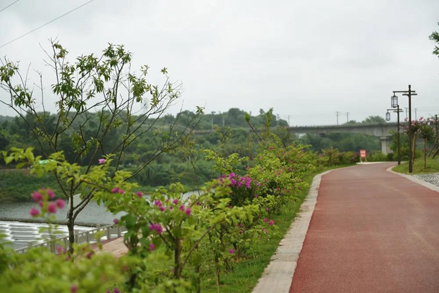 超10萬㎡！宜賓這個地方新建了一個濱江公園(圖10)