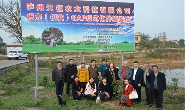 30家單位齊聚西南醫(yī)大中醫(yī)院共促中醫(yī)藥發(fā)展！(圖20)