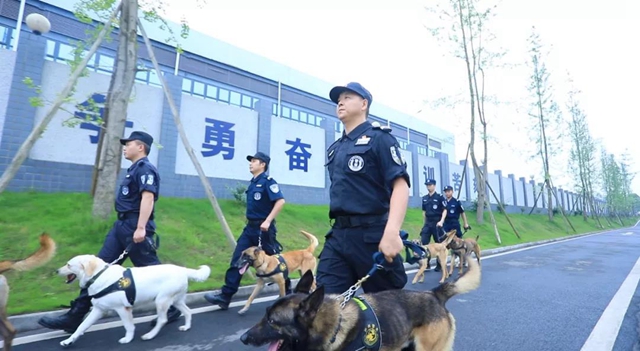 訓犬建功！瀘州馬中平被評為“最美警務輔助人員”(圖7)