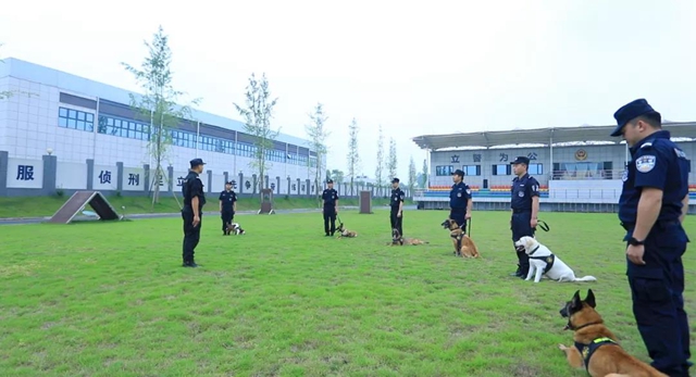 訓犬建功！瀘州馬中平被評為“最美警務輔助人員”(圖9)