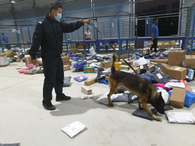 訓犬建功！瀘州馬中平被評為“最美警務輔助人員”(圖10)