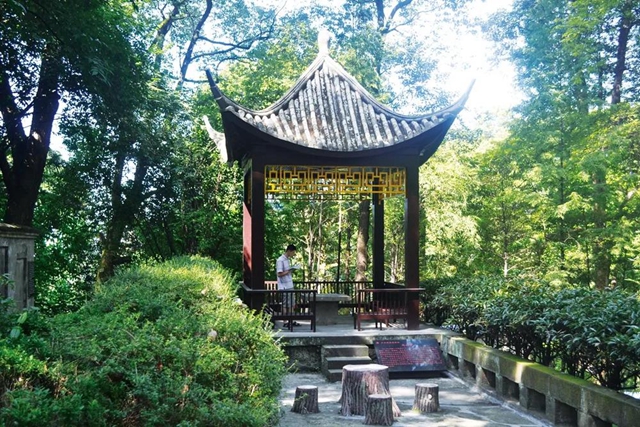 生日快樂！西南醫(yī)大今天70歲了！(圖4)