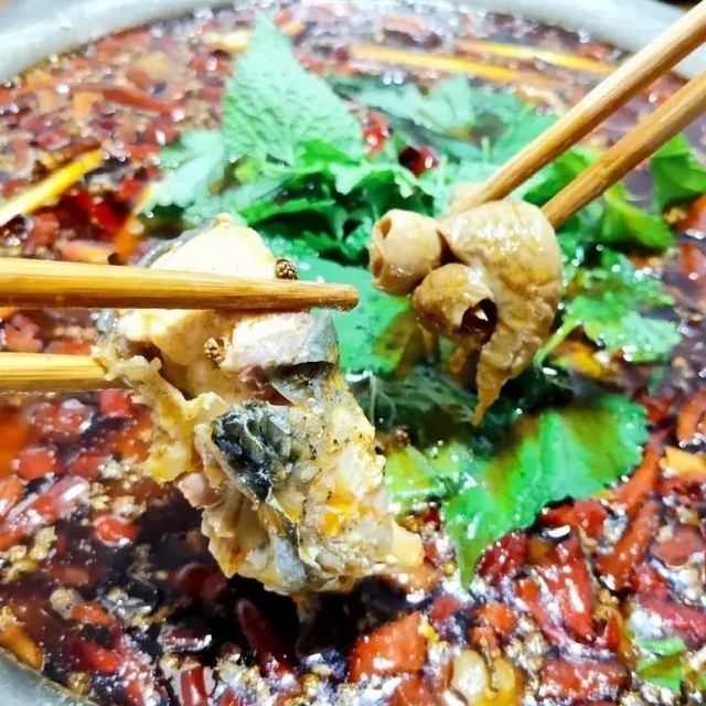 瀘縣龍眼熟了，采摘路線已為你安排好(圖7)