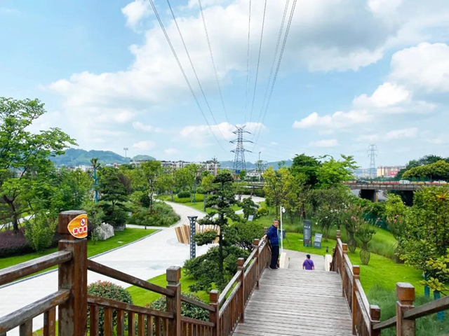 休閑娛樂(lè)新去處！市樹市花示范園即將開放，就在翠屏這里……