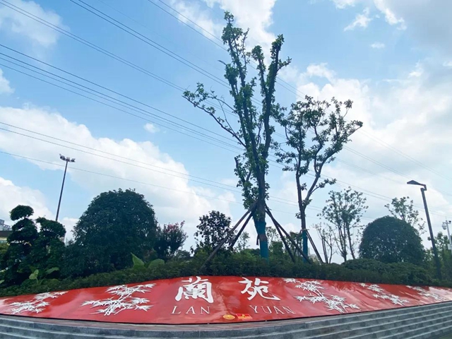 休閑娛樂新去處！市樹市花示范園即將開放，就在翠屏這里……(圖3)