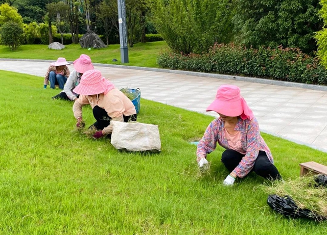 休閑娛樂新去處！市樹市花示范園即將開放，就在翠屏這里……(圖10)