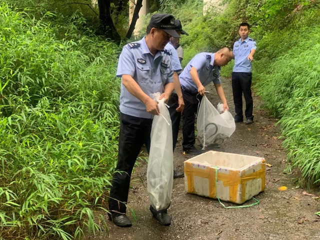 涉案達(dá)160萬(wàn)元！宜賓警方抓了21個(gè)“蛇販子”！(圖4)