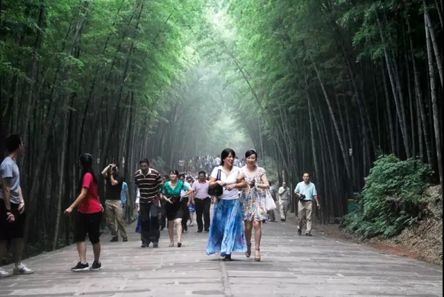 宜賓將發(fā)放300萬(wàn)元文旅消費(fèi)券！這些美景美食不容錯(cuò)過(guò)……(圖3)