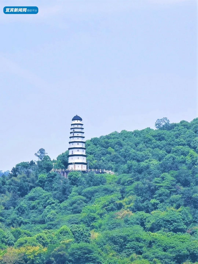 宜賓將發(fā)放300萬(wàn)元文旅消費(fèi)券！這些美景美食不容錯(cuò)過(guò)……(圖16)
