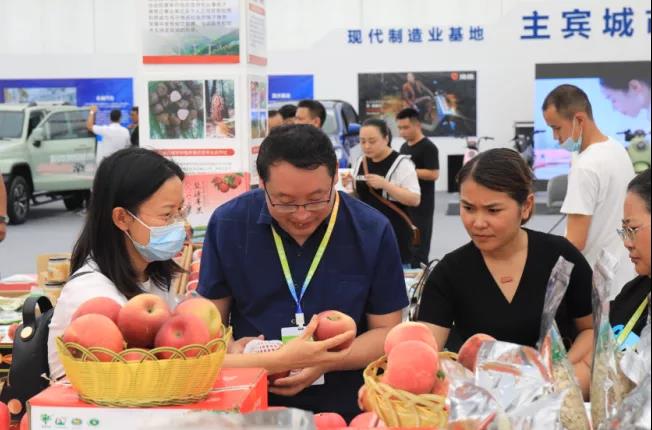第九屆中國（瀘州）西南商品博覽會(huì)開幕(圖6)