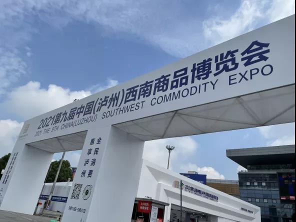 第九屆中國（瀘州）西南商品博覽會(huì)開幕(圖25)
