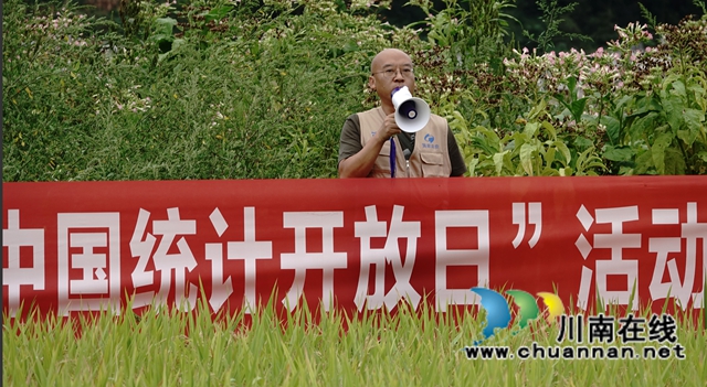 藏糧于地，藏糧于技！國家統(tǒng)計局古藺調(diào)查隊“統(tǒng)計開放日”開展實割實測活動(圖1)