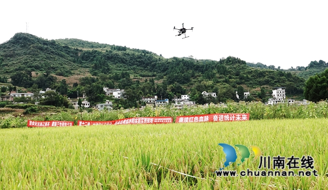藏糧于地，藏糧于技！國家統(tǒng)計局古藺調(diào)查隊“統(tǒng)計開放日”開展實割實測活動(圖12)