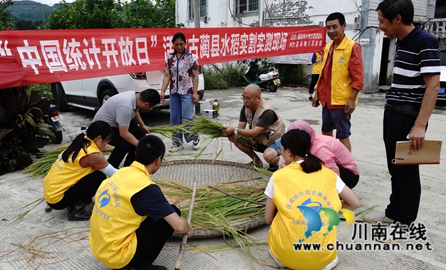 藏糧于地，藏糧于技！國家統(tǒng)計局古藺調(diào)查隊“統(tǒng)計開放日”開展實割實測活動(圖15)