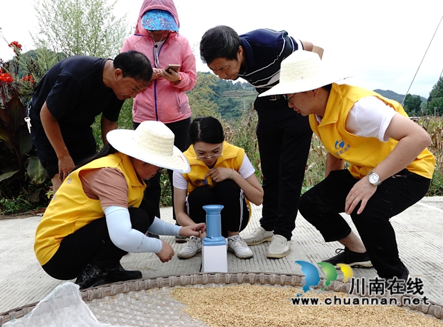 藏糧于地，藏糧于技！國家統(tǒng)計局古藺調(diào)查隊“統(tǒng)計開放日”開展實割實測活動(圖17)