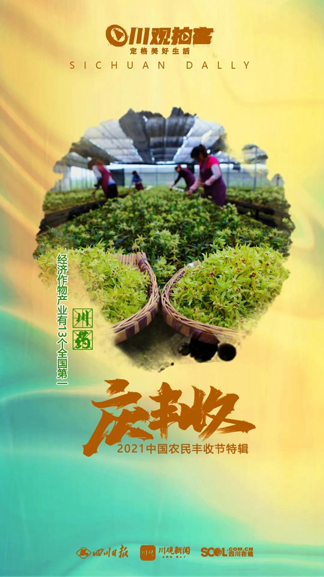 四川25種農(nóng)產(chǎn)品全國(guó)產(chǎn)量第一，你知道多少？(圖2)