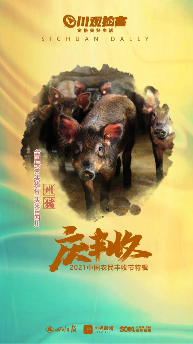 四川25種農(nóng)產(chǎn)品全國(guó)產(chǎn)量第一，你知道多少？(圖6)