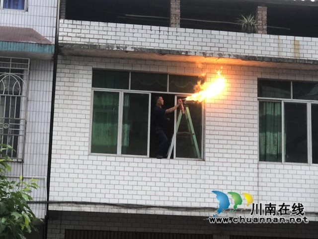 為民除害！合江縣應急局聯(lián)合縣消防隊燒毀5個馬蜂窩(圖3)